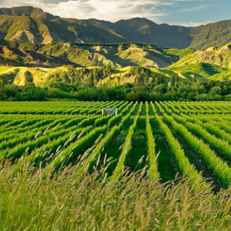 Marlborough