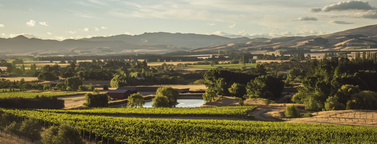 Greystone Wines