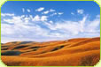Central Otago Wine